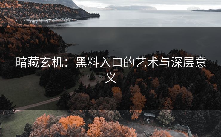 暗藏玄机：黑料入口的艺术与深层意义