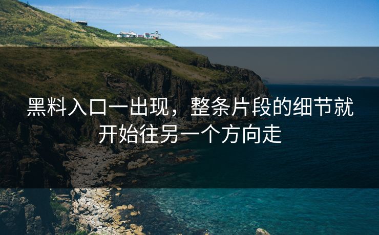 黑料入口一出现，整条片段的细节就开始往另一个方向走